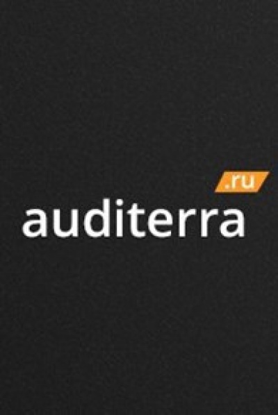 Аналитический сервис Auditerra ООО